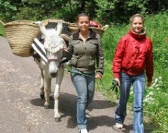 Esel-Trekking-Tour