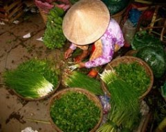 Vietnamesischer Kochkurs