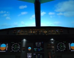 Flight Simulator
