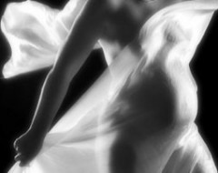 Babybauch- Fotoshooting